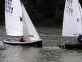 50th Anniversary Gold Cup